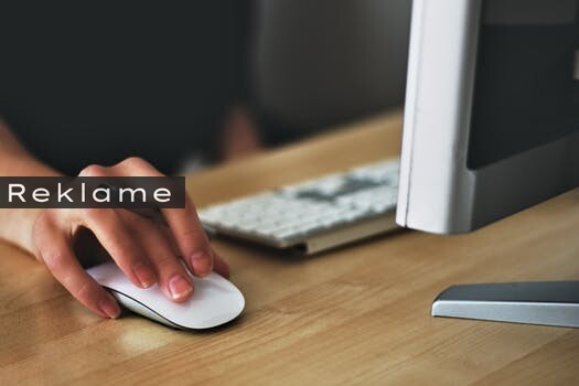 professionelt cv